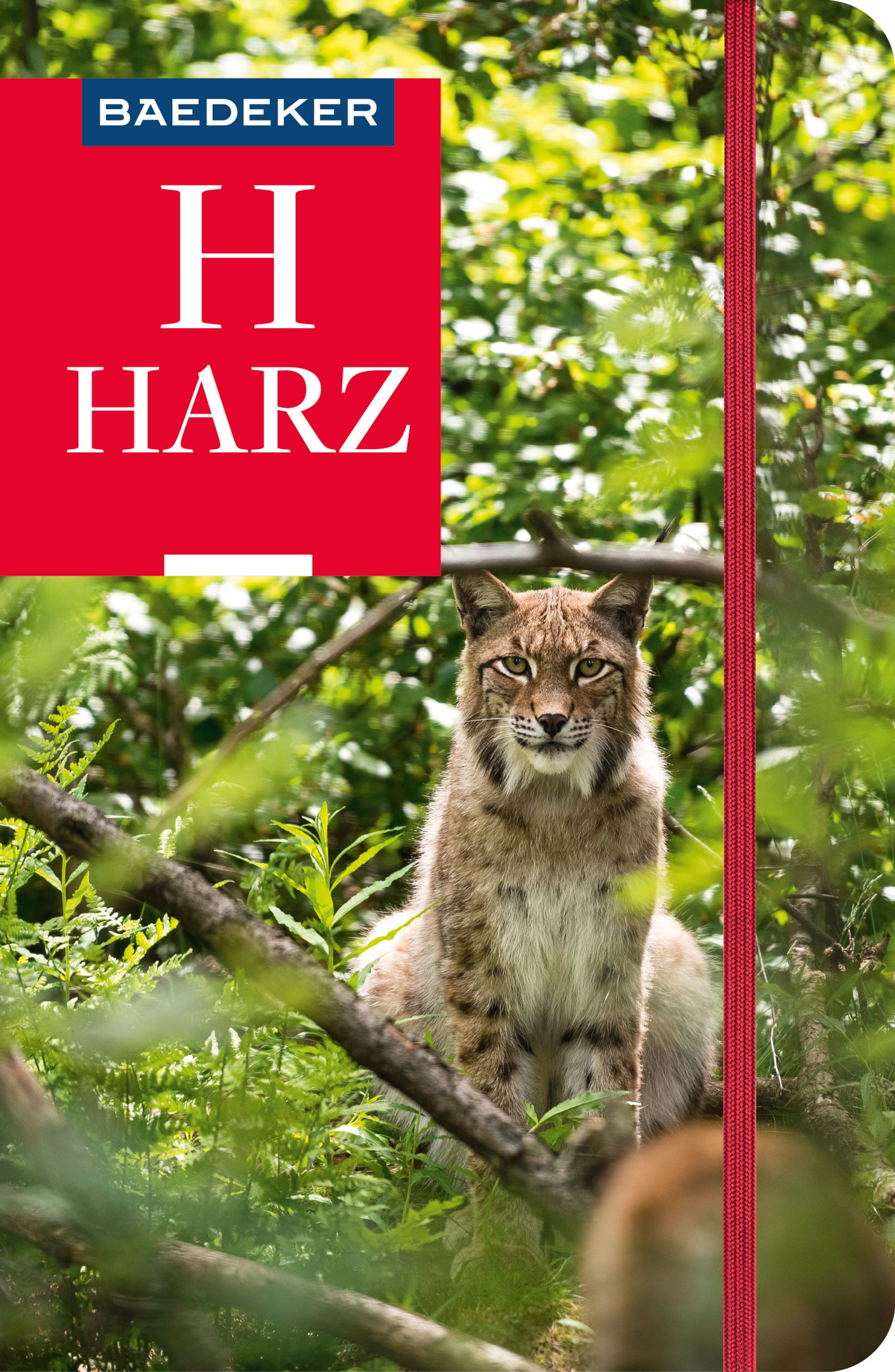 Baedeker Harz